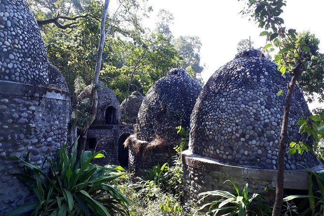 Rishikesh: Beatles Ashram Art & Meditation Walking Tour - Key highlights and what they mean for you
