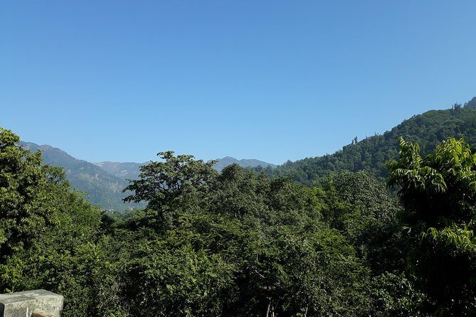 Rishikesh: Beatles Ashram Art & Meditation Walking Tour - Swarg Ashram: a quick look at the engine room of yoga and meditation