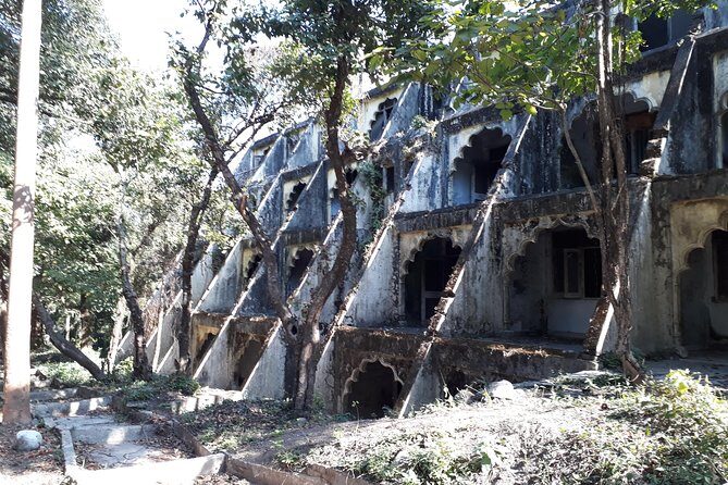 Rishikesh: Beatles Ashram Art & Meditation Walking Tour - The Rajaji Tiger Reserve buffer zone walk: a calmer change of scene
