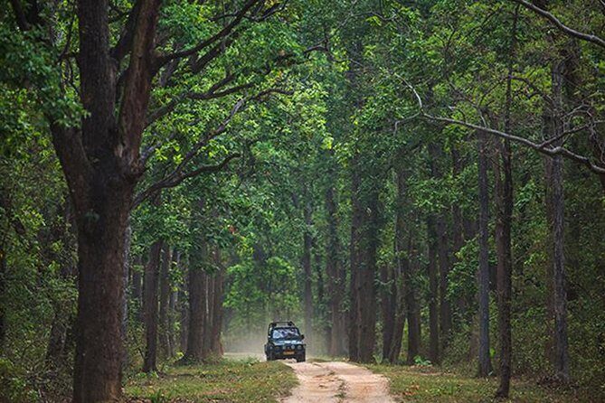 Safari In Jhalana Leopard Conservation Reserve, Jaipur - Jhalana Leopard Conservation Reserve: why this Jaipur safari feels different