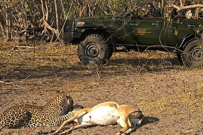 Safari In Jhalana Leopard Conservation Reserve, Jaipur - Where you meet: Jhalana Leopard Safari Park and how the experience starts