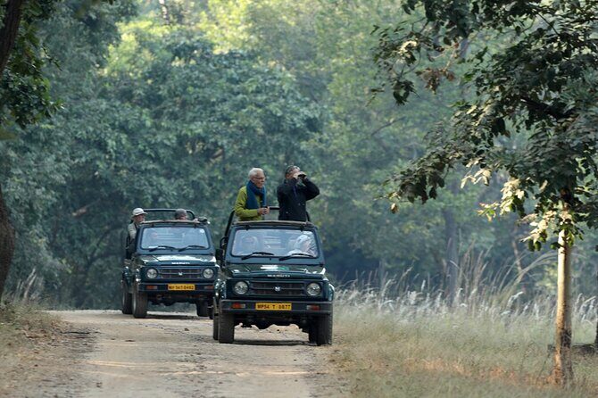 Safari in Pench National Park - Three jeep safaris with forest naturalists: how your chances improve