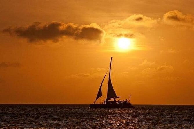 Sailing Experience in Mumbai on Mid Size Yacht - The Dolphin Factor: When Mumbai Turns Wild
