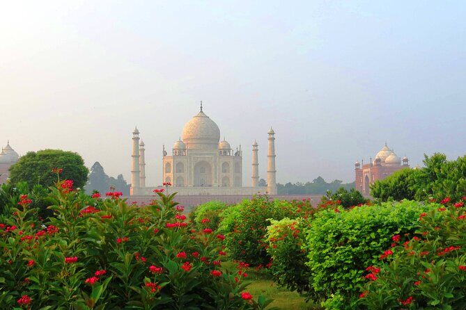 Same Day Taj Mahal, Agra Fort & Baby Taj Tour from Delhi by Car - Tickets, time saved, and why the price can make sense