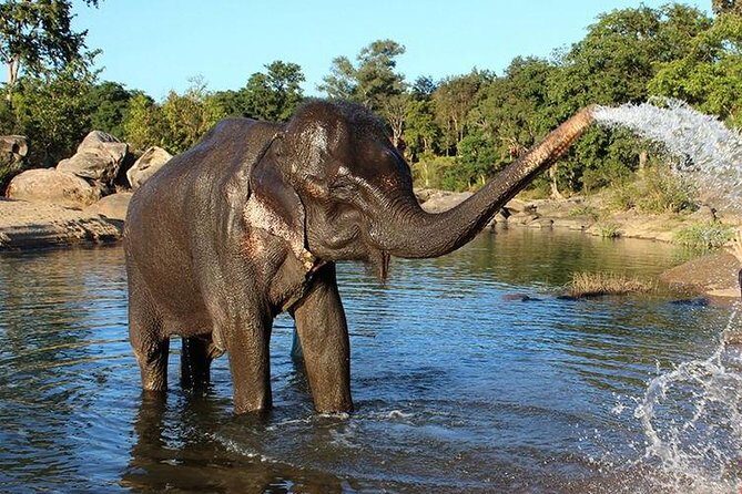 Same Day Tajmahal at Sunrise and SOS wildlife sanctuary tour - Should you book this tour?