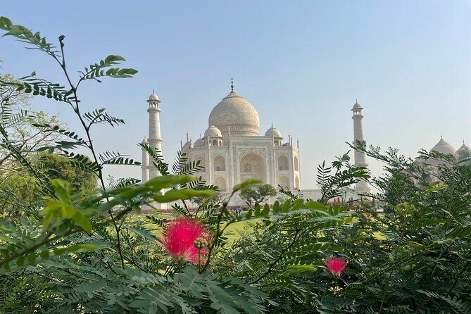 Same Day Tajmahal at Sunrise and SOS wildlife sanctuary tour - Agra Fort and the classic add-ons: how the itinerary flows