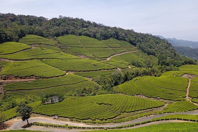 Sandal Wood & Sight Seeing Tour (Munnar Valley Trekking & Tours) - Stop 1: Nayamakad Waterfall view time (and tea-road vibes)