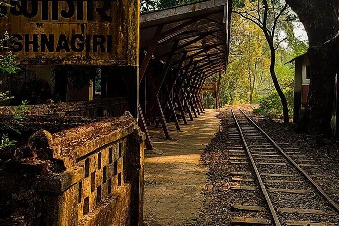 Sanjay Gandhi National Park and Kanheri Caves Day Private Tour - The tour’s setup: pickup, AC ride, tickets, and snacks that actually help