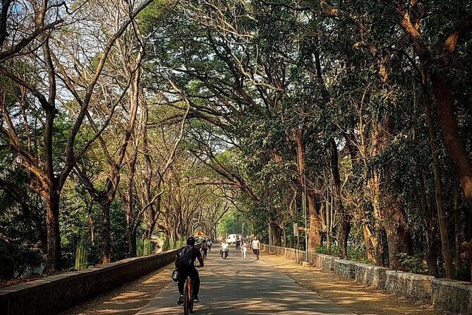 Sanjay Gandhi National Park and Kanheri Caves Day Private Tour - Price and value: how $90 holds up for a half-day in Mumbai