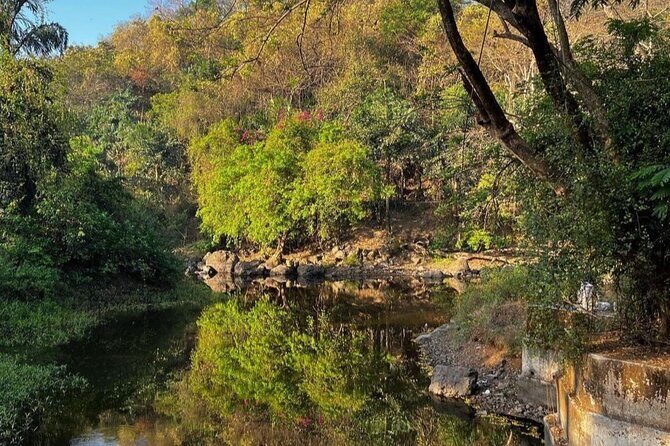 Sanjay Gandhi National Park and Kanheri Caves Day Private Tour - Safari or nature walk: what you can realistically expect to see