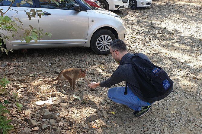 Sanjay Gandhi National Park(SGNP) + Kenheri Caves + Lion Safari + Jain Temple - Practical tips for a smoother day in the park