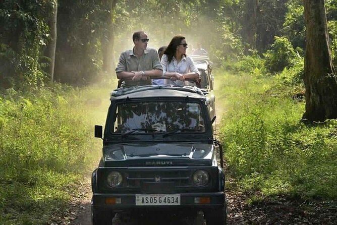 Sariska Tiger Reserve Safari tour from Jaipur - Wildlife chances: how to think about tigers (without planning your whole day around them)