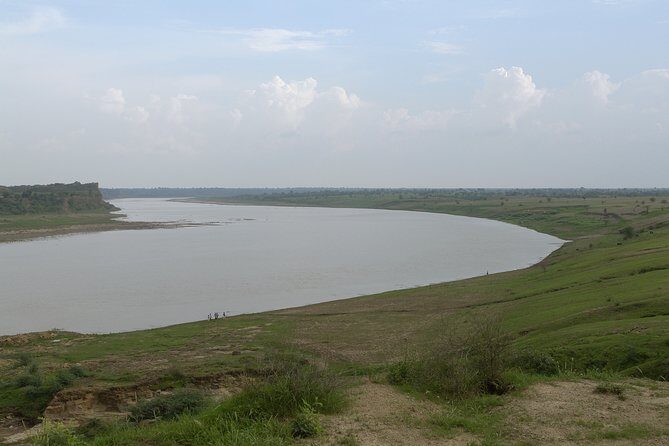 Sawai Madhopur: Private Chambal Crocodile Safari All-Inclusive - What to expect for wildlife sightings (and how not to miss them)