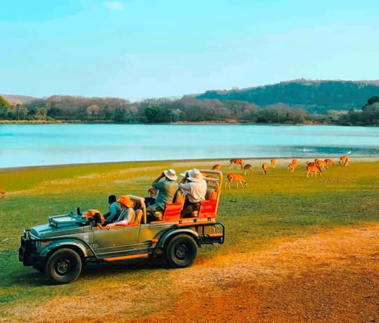Sawai Madhopur: Ranthambore National Park Guided Jeep Safari - The tiger search strategy: water, dark forest, and patience
