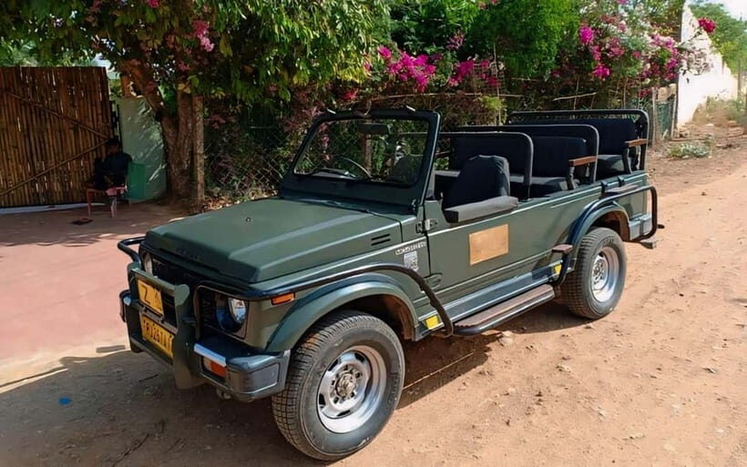 Sawai Madhopur: Ranthambore National Park Guided Jeep Safari - Safety and park rules that affect your day