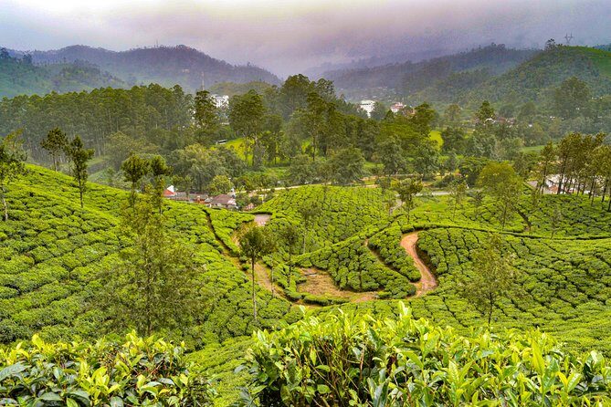 Scenic Kerala : Hills, Wildlife, Backwaters & Beach Bliss- 7 Days - First taste of Kerala: Cheeyappara waterfalls and a cultural show in Punarjani