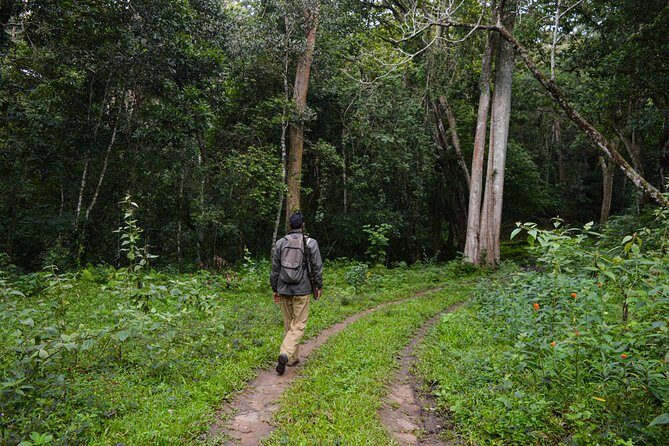 Scenic Kerala : Hills, Wildlife, Backwaters & Beach Bliss- 7 Days - Alleppey houseboat night: canals, Punnamada kayal, and that slower rhythm