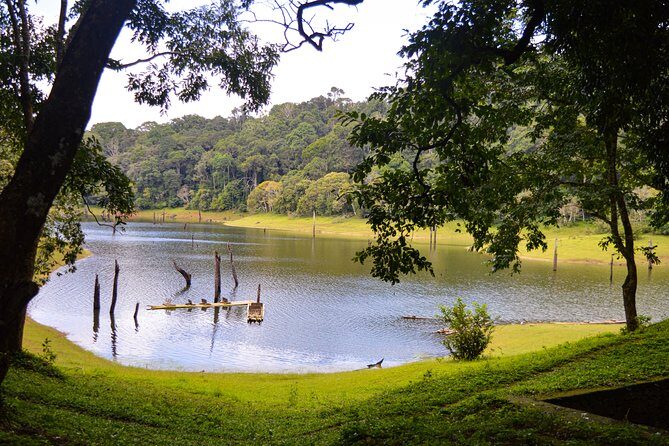 Scenic Kerala : Hills, Wildlife, Backwaters & Beach Bliss- 7 Days - Vembanad morning and Jatayu: early light, then a myth-shaped viewpoint