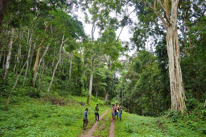 Scenic Kerala : Hills, Wildlife, Backwaters & Beach Bliss- 7 Days - Value check: what the $891.93 group price covers (and what to budget for)