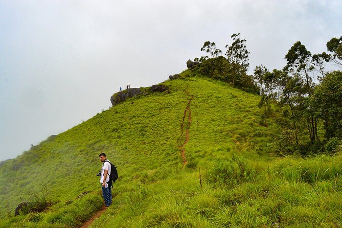 Scenic Kerala : Hills, Wildlife, Backwaters & Beach Bliss- 7 Days - Thekkady and Periyar: wildlife time on Periyar Lake