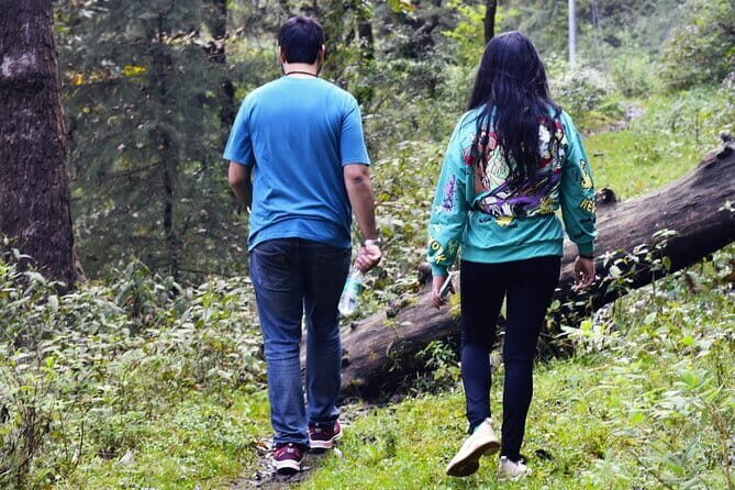 School Boy Walk - The jungle trail rhythm: deodar and oak to a high plateau