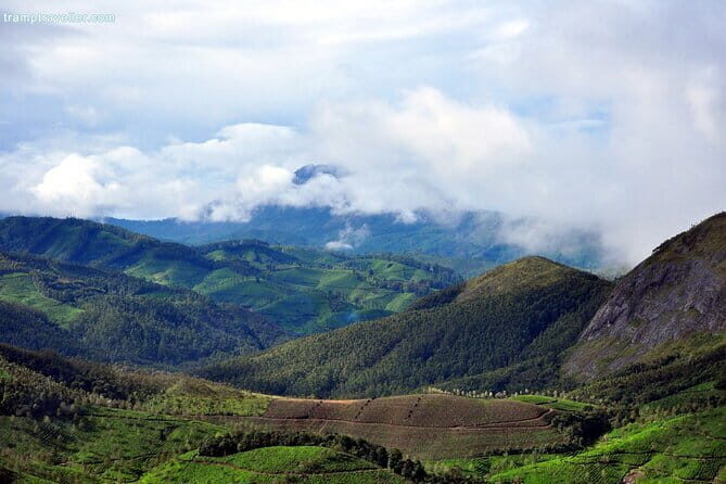 Serene Munnar Retreat: Private Tour from Kochi to the Munnar Hill - How This Kochi-to-Munnar Day Actually Runs (and Why It Works)
