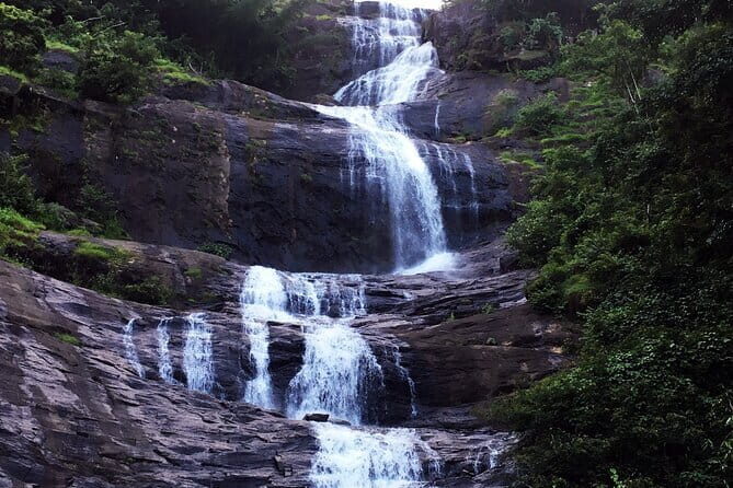 Serene Munnar Retreat: Private Tour from Kochi to the Munnar Hill - Mattupetty Dam and the Mountain Views Moment