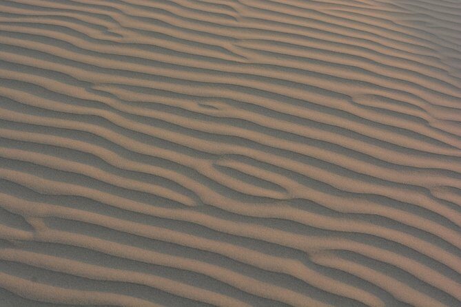 Shahi Half day non touristic sand dune camel safari with dinner - Key moments on this non-touristic Thar camel safari