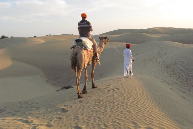 Shahi Half Day Sunset Camel ride & Cultural program & dinner - How the Day Works From Shahi Palace