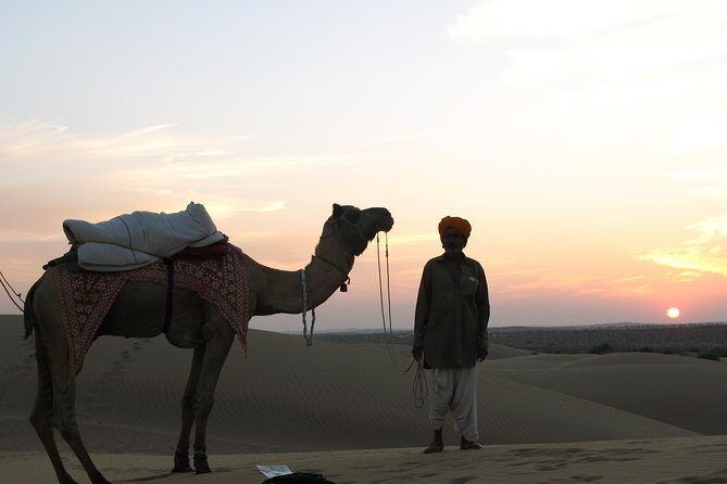 Shahi Half Day Sunset Camel ride & Cultural program & dinner - Sam Sand Dunes: The Stop That Sets the Tone