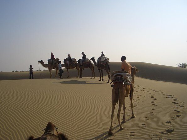Shahi Over Night camel safari non touristic sand dune - Key things to know before you go