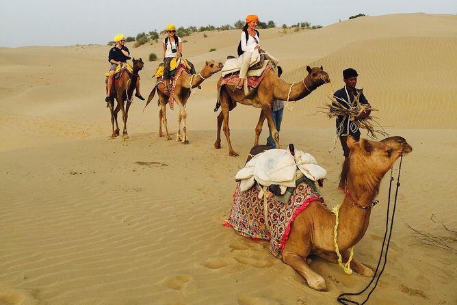 Shahi Over Night camel safari non touristic sand dune - Day 2: Thar Desert sunrise and dune time