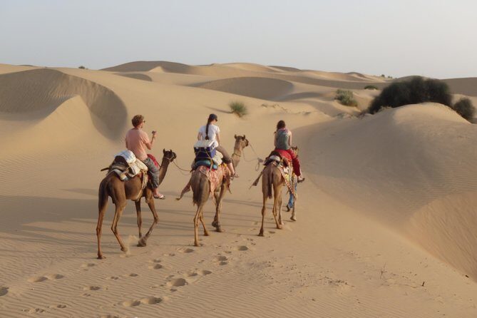 Shahi Over Night camel safari non touristic sand dune - The overnight camp: where the stars actually steal the show