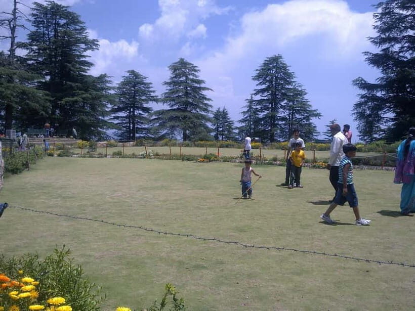 Shimla: Hiking Tour to Jakhu Hill with Local Guide - How Jakhu Hill Turns a Temple Visit Into a Real Morning Walk