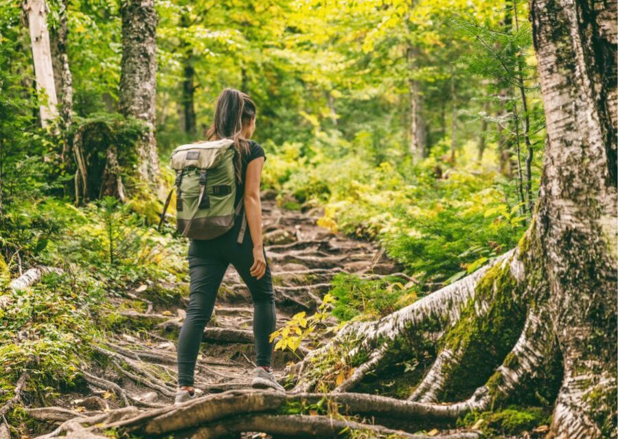 Shimla Nature Walk (3 Hours Guided Trekking Experience) - Who should book Shimla Nature Walk, and who should skip it