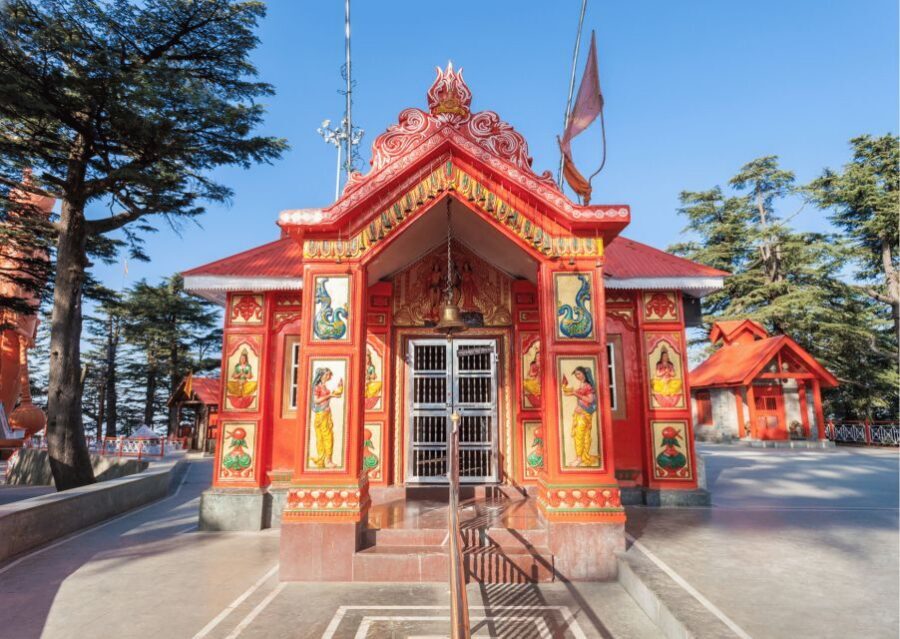 Shimla Nature Walk (3 Hours Guided Trekking Experience) - Forest Hill Road + Shimla Heritage Museum + U.S. Club: the British-era side