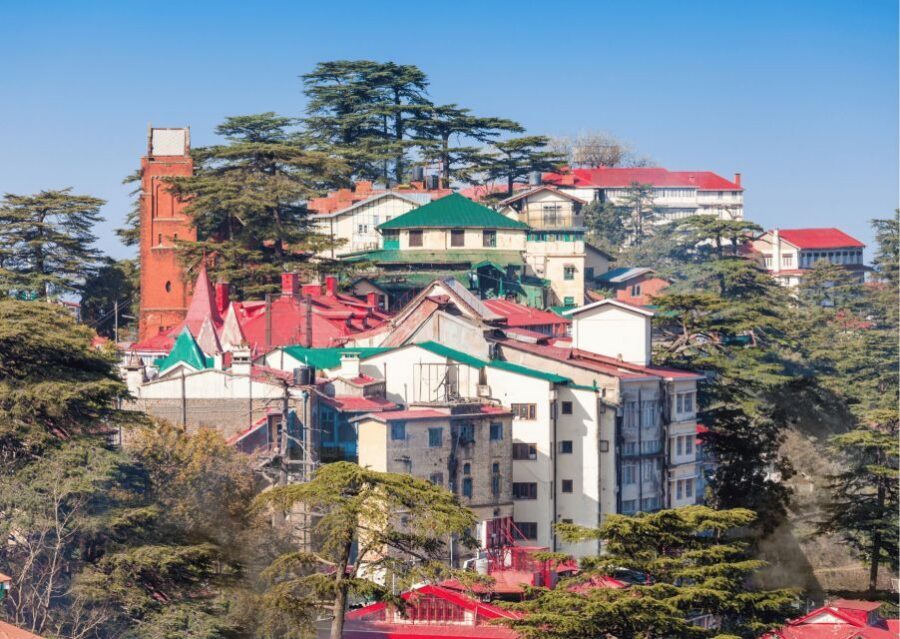 Shimla Nature Walk (3 Hours Guided Trekking Experience) - When weather changes the plan: local chats and tea breaks