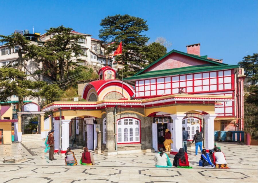 Shimla Nature Walk (3 Hours Guided Trekking Experience) - Price and value: what $27 buys you in 3 hours
