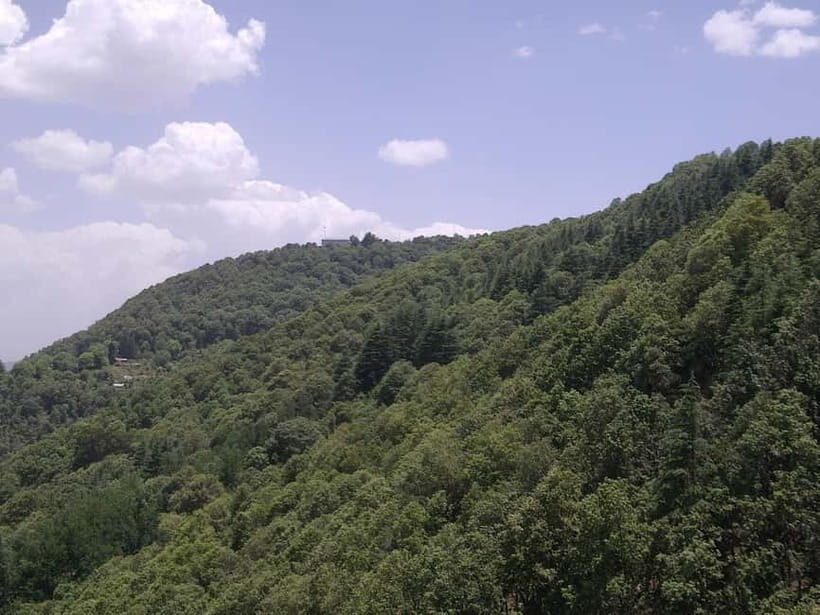 Shimla: Temples Tour with full day Local Driver Guide - Key things I’d watch for