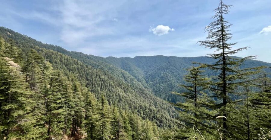 Shimla: Wildlife Sanctuary & Water Catchment Guided Tour - Why Shimla’s water catchment sanctuary feels different
