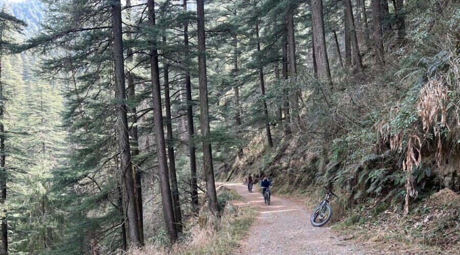 Shimla: Wildlife Sanctuary & Water Catchment Guided Tour - The water system: why this tour is more than a nature stroll
