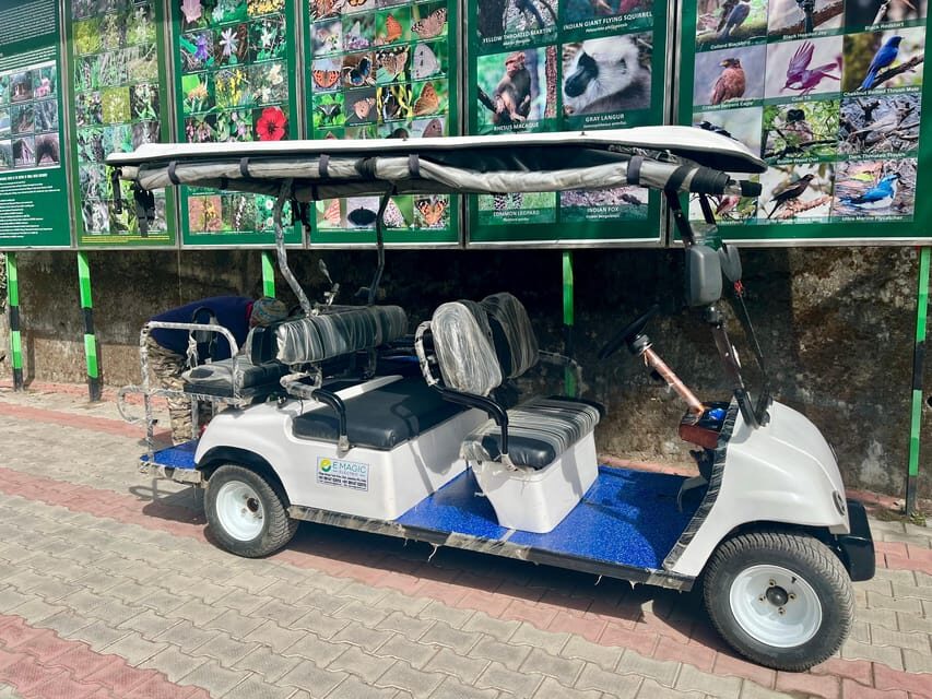 Shimla: Wildlife Sanctuary & Water Catchment Guided Tour - When to go and what to pack for real comfort