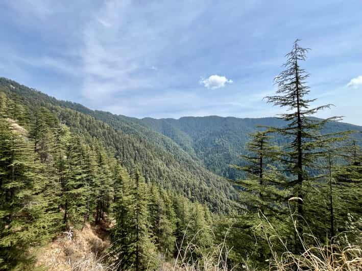 Shimla: Wildlife Sanctuary & Water Catchment Guided Tour - Price and value: $26 for a half-day with permits and guidance