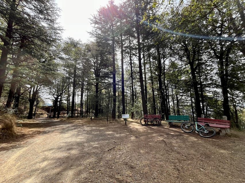 Shimla: Wildlife Sanctuary & Water Catchment Guided Tour - Your best transport option: bike, E-rickshaw, or guided walk