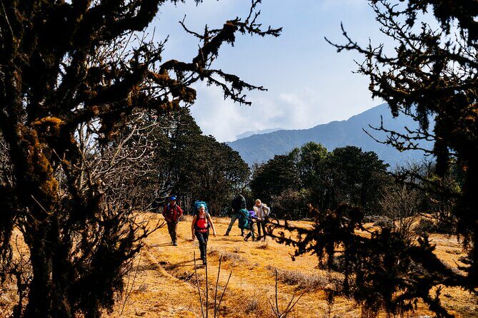 Singalila Ridge Trek from Darjeeling - 6 Days - Day 5: Gorkhey to Ramam junctions, then Timburey Swayambhu home-stay