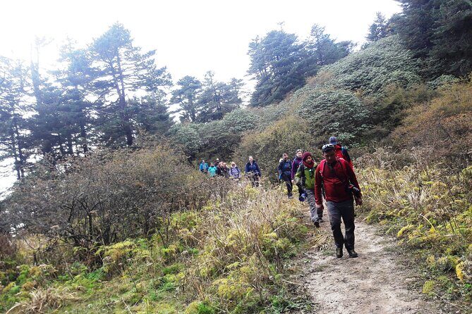 Singalila Ridge Trek from Darjeeling - 6 Days - Price and what $460 actually buys you in real life