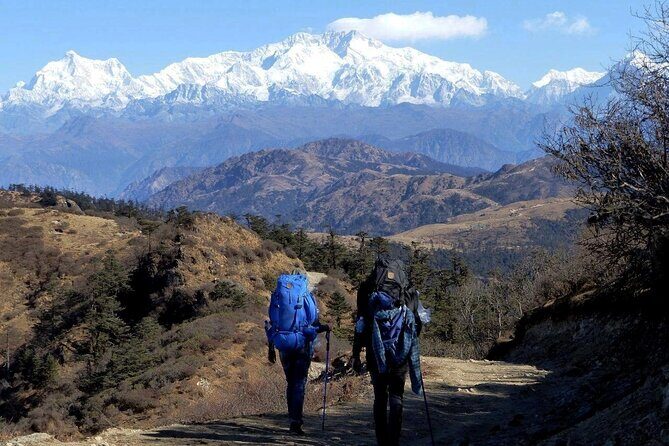 Singalila Trek from Darjeeling - Key highlights worth planning for