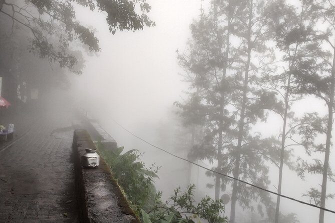 Sinhagad Fort Trip (Guided Half Day Sightseeing Tour) - Key highlights you’ll actually feel in your day