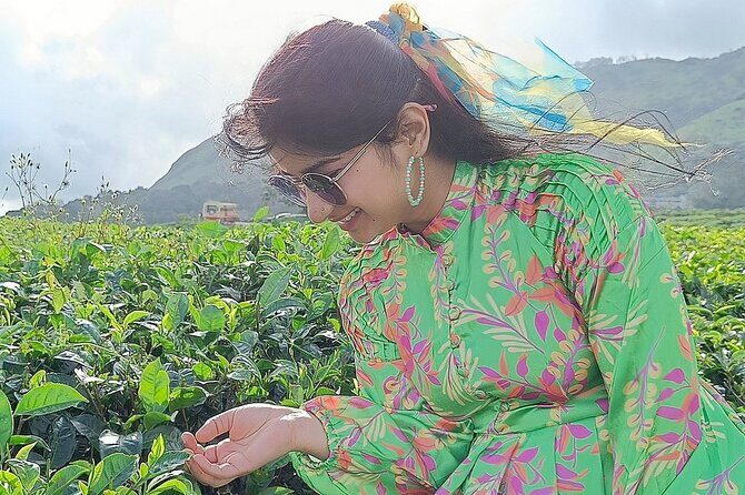 Solo Kerala Private Tour Package ( 5 Nights) - Munnar, Thekkady, Houseboat - Value and what you’re really paying for