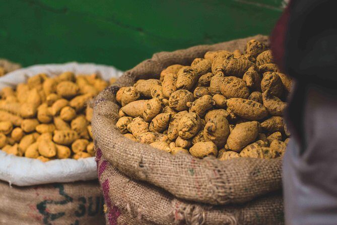 Spice Market & Old Delhi Highlights: Guided 3-Hour Tour - Stops 2 to 3: Jama Masjid viewing and Dariba Kalan shopping time